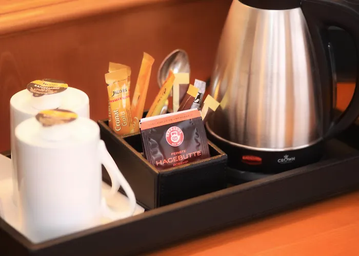 酒店 蒂安尼公园酒店 4*