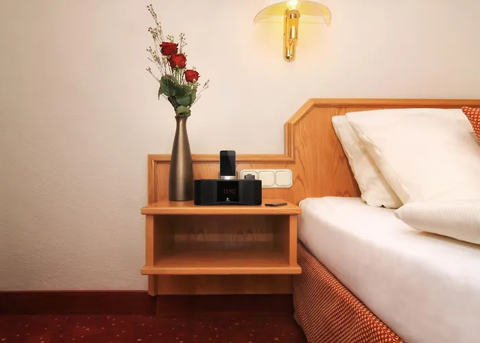 蒂安尼公园酒店 4*