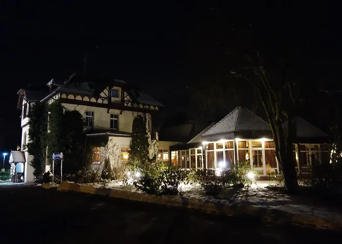 酒店 蒂安尼公园酒店 莱比锡