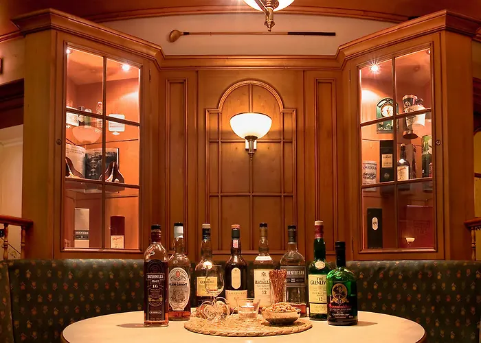 酒店 蒂安尼公园酒店 莱比锡