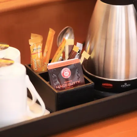 酒店 蒂安尼公园酒店 4*